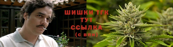 прущий лед Лагань