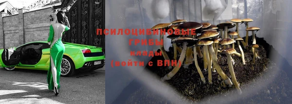 дживик Кукмор