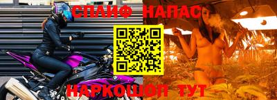 стаф Абинск