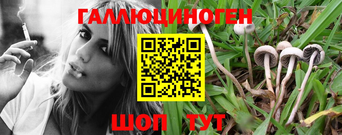 Галлюциногенные грибы MAGIC MUSHROOMS Амурск