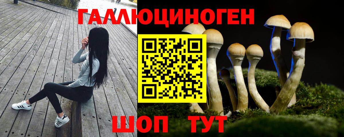 Галлюциногенные грибы прущие грибы Амурск