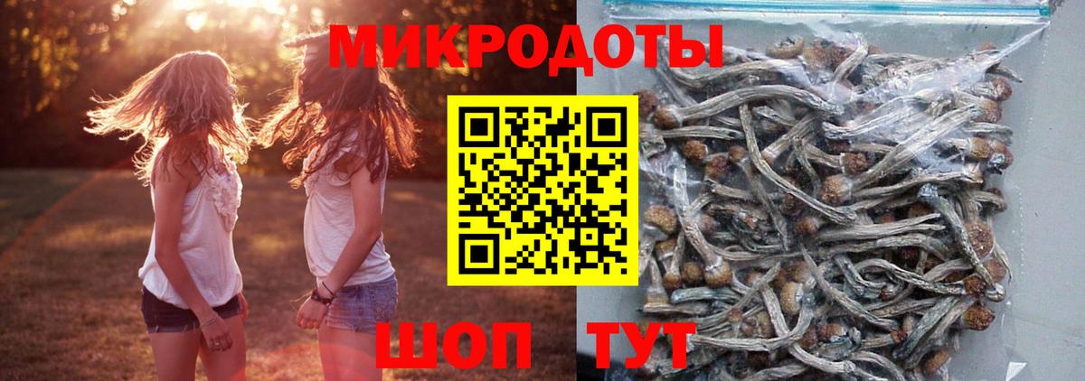 Галлюциногенные грибы MAGIC MUSHROOMS Амурск