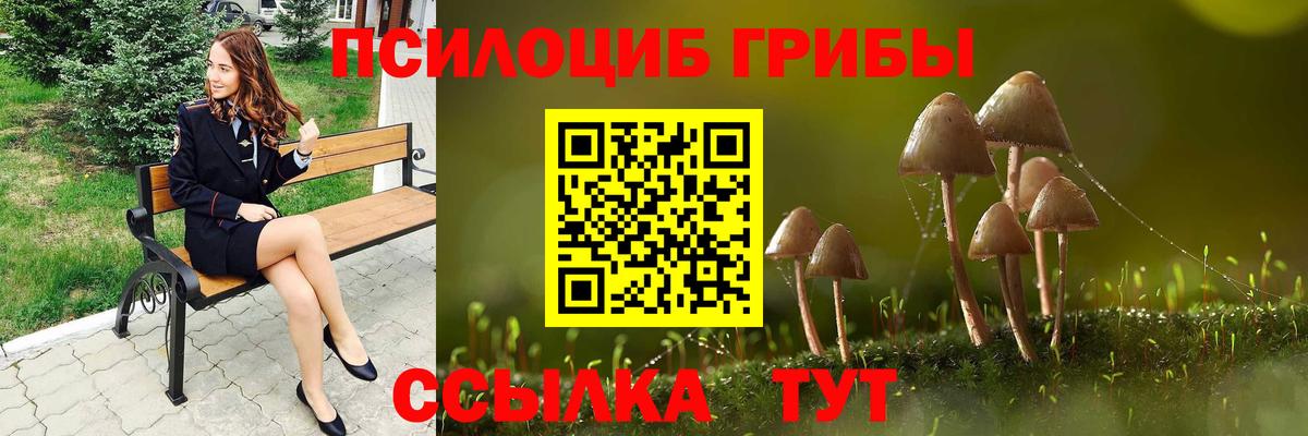 даркнет сайт  Галлюциногенные грибы MAGIC MUSHROOMS  Вход с VPN  Амурск 